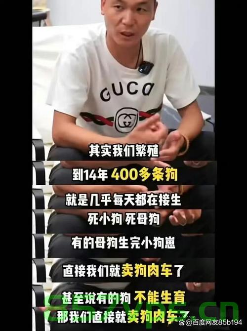 潘宏视频全面下架，探究背后的原因与影响智能免费问答EasyAI m.857vps.cn，潘宏视频全面下架背后的原因与影响探究