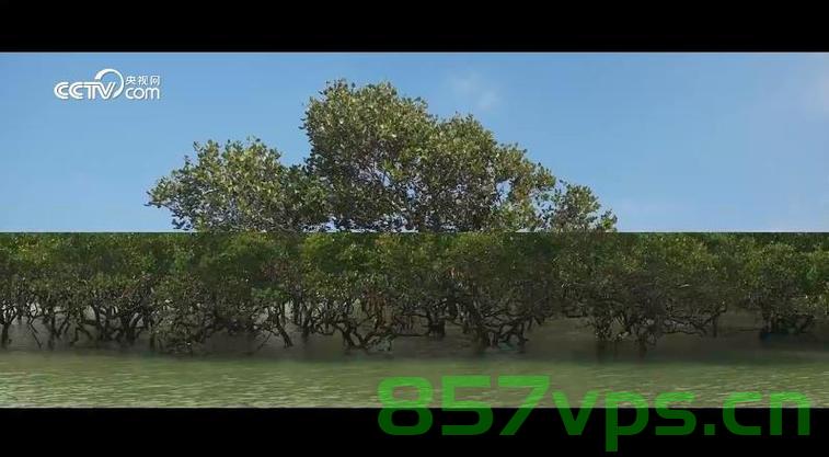 海岸线上的绿色国宝，自然与文化的双重守护智能免费问答EasyAI m.857vps.cn，海岸线上的绿色国宝，自然与文化双重守护的智能问答平台 EasyAI，海岸线上的绿色国宝，自然与文化双重守护的智能问答平台EasyAI，海岸线上的绿色国宝，自然与文化双重守护的智能问答平台EasyAI，海岸线上的绿色国宝，自然与文化双重守护的智能问答平台EasyAI，海岸线上的绿色国宝，自然与文化双重守护的智能问答平台EasyAI，海岸线上的绿色国宝，自然与文化双重守护的智能问答平台EasyAI