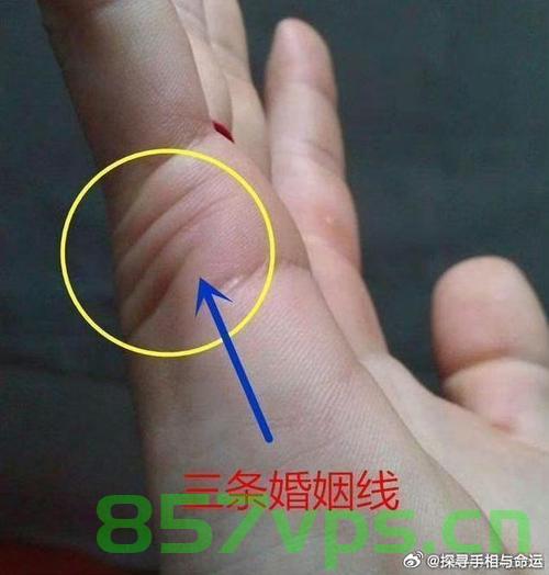 女子登记结婚时惊现六次婚姻记录，探寻背后的故事与挑战智能免费问答EasyAI m.857vps.cn，女子六次婚姻记录背后的故事与挑战，智能免费问答探寻真相