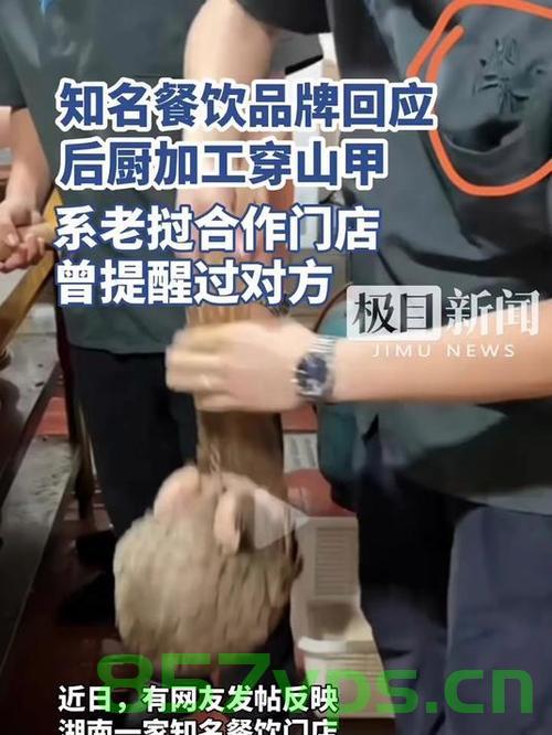 知名餐饮品牌惊现穿山甲后厨加工内幕曝光智能免费问答EasyAI m.857vps.cn，知名餐饮品牌穿山甲后厨加工内幕揭秘，智能免费问答平台曝光内幕曝光事件！ 第2张