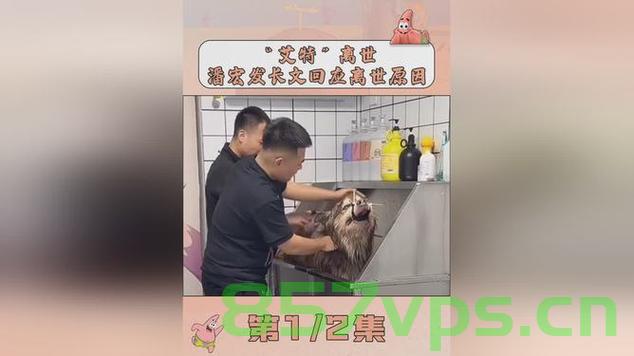 潘宏歪曲事实，狗主人揭示真相智能免费问答EasyAI m.857vps.cn，潘宏真相揭秘，事实歪曲与智能免费问答平台真相浮出水面，潘宏真相揭秘，智能免费问答平台背后的真相浮出水面（独家报道），潘宏真相揭秘，智能免费问答平台背后的真相与事实歪曲，潘宏真相揭秘，智能免费问答平台背后的真相与事实歪曲独家报道 第2张