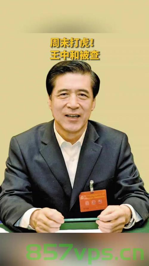 周末打虎！王中和被查的警示故事智能免费问答EasyAI m.857vps.cn，周末打虎背后的警示，王中和被查背后的故事与智能免费问答平台EasyAI揭秘
