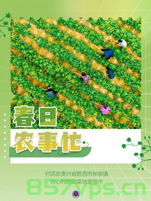 早春时节农事忙智能免费问答EasyAI m.857vps.cn，早春时节农事繁忙，智能问答EasyAI助您轻松应对m.857vps.cn，早春农事繁忙，智能问答EasyAI助您轻松应对（m.857vps.cn） 第2张