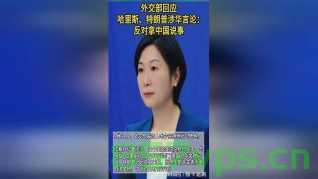 外交部回应小特朗普涉华言论，坚定维护国家利益与外交原则智能免费问答EasyAI m.857vps.cn，外交部回应小特朗普涉华言论，坚定维护国家利益与外交原则，智能问答解析在线