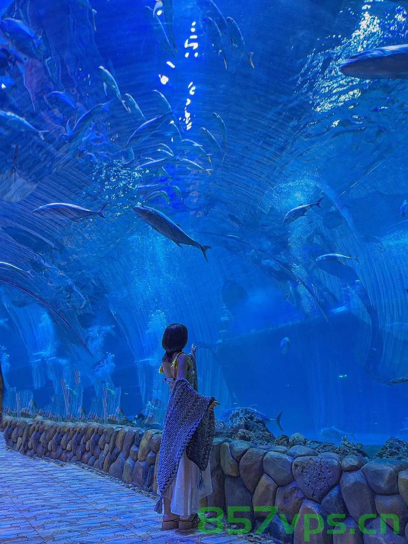 西安地铁水族馆，惊艳老外的一站式海洋体验智能免费问答EasyAI m.857vps.cn，西安地铁水族馆，一站式智能海洋体验惊艳老外，免费问答畅游m.857vps.cn，西安地铁水族馆，智能海洋体验惊艳老外，免费问答畅游一站式水族奇观，西安地铁水族馆，智能海洋体验一站式惊艳老外，免费畅游水族奇观，西安地铁水族馆，智能海洋体验一站式惊艳老外，免费畅游奇幻水族世界，西安地铁水族馆，智能海洋体验一站式惊艳老外，免费畅游奇幻水族世界之旅