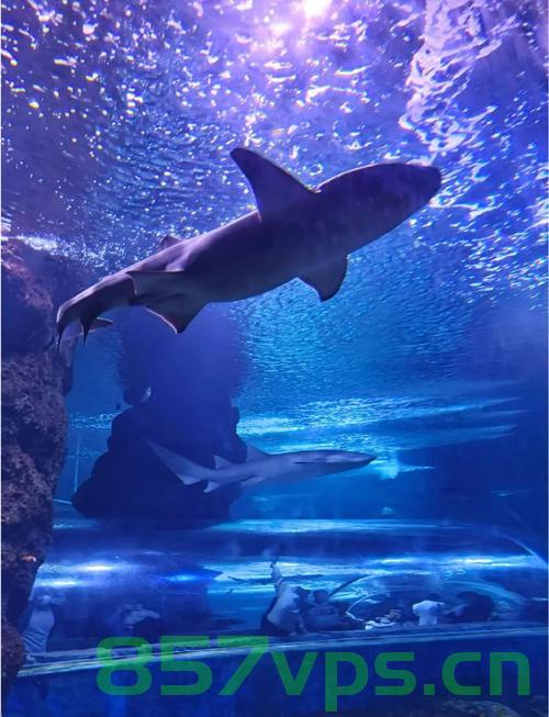 西安地铁水族馆，惊艳老外的一站式海洋体验智能免费问答EasyAI m.857vps.cn，西安地铁水族馆，一站式智能海洋体验惊艳老外，免费问答畅游m.857vps.cn，西安地铁水族馆，智能海洋体验惊艳老外，免费问答畅游一站式水族奇观，西安地铁水族馆，智能海洋体验一站式惊艳老外，免费畅游水族奇观，西安地铁水族馆，智能海洋体验一站式惊艳老外，免费畅游奇幻水族世界，西安地铁水族馆，智能海洋体验一站式惊艳老外，免费畅游奇幻水族世界之旅 第2张