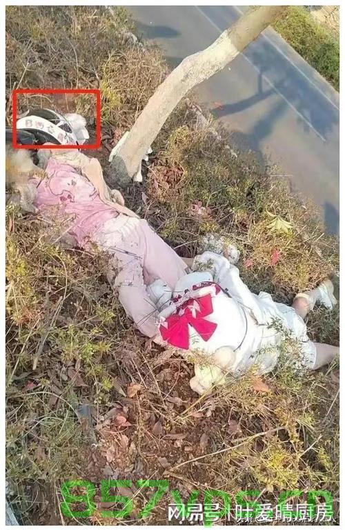 美女网红救人溺亡，母亲又遭车祸——悲剧背后的故事与反思智能免费问答EasyAI m.857vps.cn，美女网红救人溺亡与母亲车祸悲剧的背后，故事反思与智能问答探讨