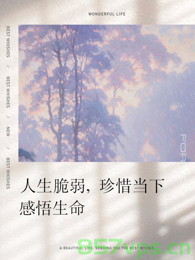 生命的坚韧与脆弱，纪念14岁抗癌博主小雅智能免费问答EasyAI m.857vps.cn，生命的坚韧与脆弱，抗癌博主小雅与智能问答的纪念