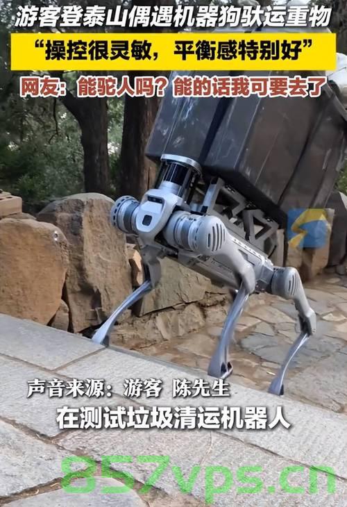 泰山景区回应机器狗驮载重物，技术创新与文化遗产保护的融合之道智能免费问答EasyAI m.857vps.cn，泰山景区机器狗驮载重物，技术创新与文化遗产保护的融合之道，泰山景区机器狗驮载重物，技术创新与文化遗产保护的融合探索
