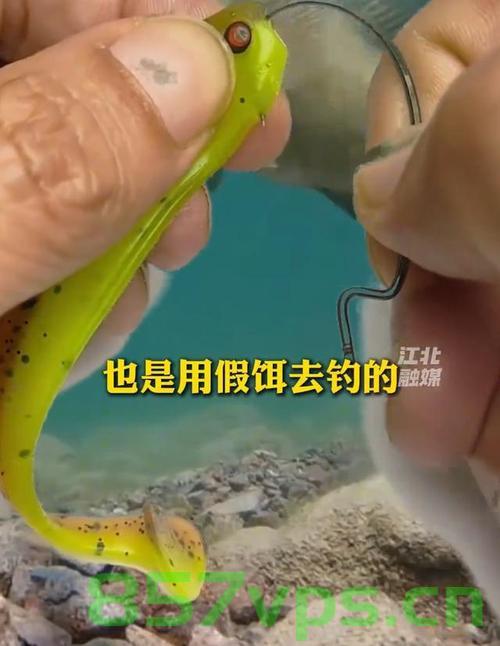 男子钓鱼意外剖开鱼肚，竟发现隐藏其中的秘密——17个假饵的故事智能免费问答EasyAI m.857vps.cn，钓鱼男子意外发现鱼肚秘密，揭示隐藏其中的假饵故事，钓鱼男子剖鱼肚意外发现隐藏假饵故事，揭秘鱼肚秘密与智能免费问答，钓鱼男子剖鱼肚揭秘，鱼肚内隐藏假饵故事与智能问答揭秘