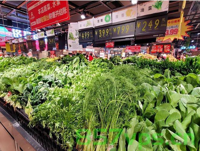 胖东来投资40亿打造巨型商业综合体——梦之城智能免费问答EasyAI m.857vps.cn，胖东来巨型商业综合体梦之城，投资40亿打造智能免费问答新地标，胖东来投资40亿打造巨型商业综合体梦之城，智能免费问答新地标亮相！，胖东来投资40亿打造巨型商业综合体梦之城，智能免费问答新地标亮相！，胖东来投资40亿打造巨型商业综合体梦之城，智能免费问答新地标亮相！，胖东来投资40亿打造巨型商业综合体梦之城，智能免费问答新地标震撼登场！