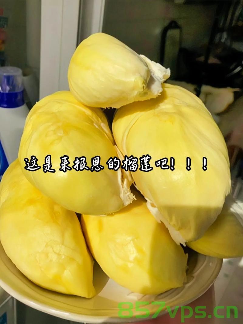 报恩榴莲，女孩与DeepSeek的奇妙缘分智能免费问答EasyAI m.857vps.cn，报恩榴莲与智能问答的奇妙缘分，女孩与DeepSeek的不解之缘，EasyAI探索m.857vps.cn，报恩榴莲与智能问答的奇缘，女孩DeepSeek与EasyAI的不解之缘探索m.857vps.cn，报恩榴莲与智能问答的奇缘，女孩DeepSeek与EasyAI的不解之缘探索m.857vps.cn，报恩榴莲与智能问答的奇缘，女孩DeepSeek与EasyAI的不解之缘探索m.857vps.cn