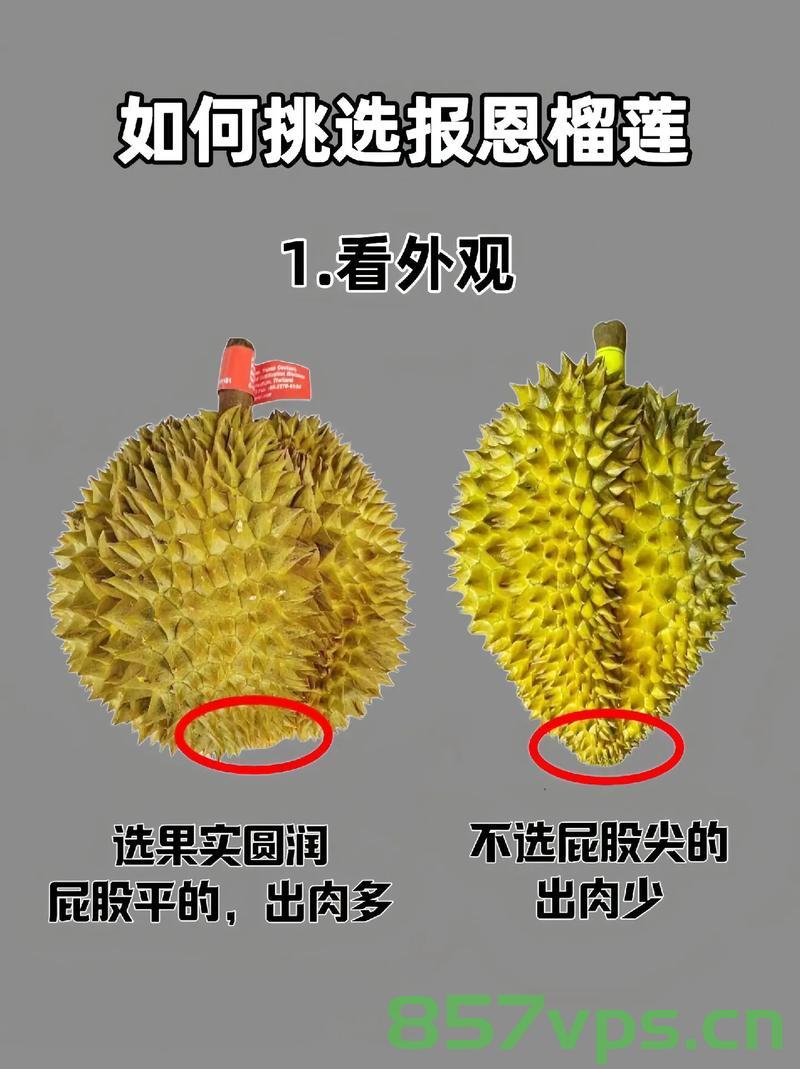 报恩榴莲，女孩与DeepSeek的奇妙缘分智能免费问答EasyAI m.857vps.cn，报恩榴莲与智能问答的奇妙缘分，女孩与DeepSeek的不解之缘，EasyAI探索m.857vps.cn，报恩榴莲与智能问答的奇缘，女孩DeepSeek与EasyAI的不解之缘探索m.857vps.cn，报恩榴莲与智能问答的奇缘，女孩DeepSeek与EasyAI的不解之缘探索m.857vps.cn，报恩榴莲与智能问答的奇缘，女孩DeepSeek与EasyAI的不解之缘探索m.857vps.cn 第2张