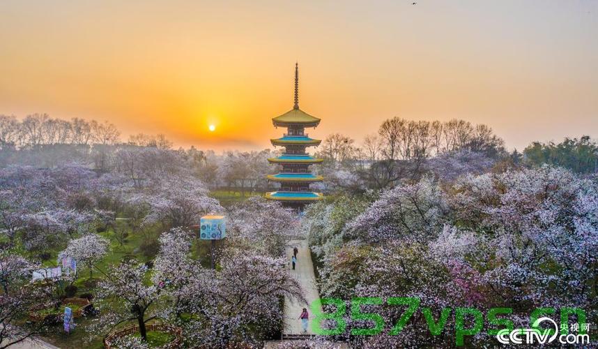 武汉东湖樱花园盛大开园，绽放春天的魅力智能免费问答EasyAI m.857vps.cn，武汉东湖樱花园盛大开园，智能问答系统EasyAI助力春景绽放魅力，武汉东湖樱花园盛大开园，智能问答系统EasyAI助力春景绽放魅力，武汉东湖樱花园盛大开园，智能问答系统EasyAI助力春景绽放独特魅力 第2张