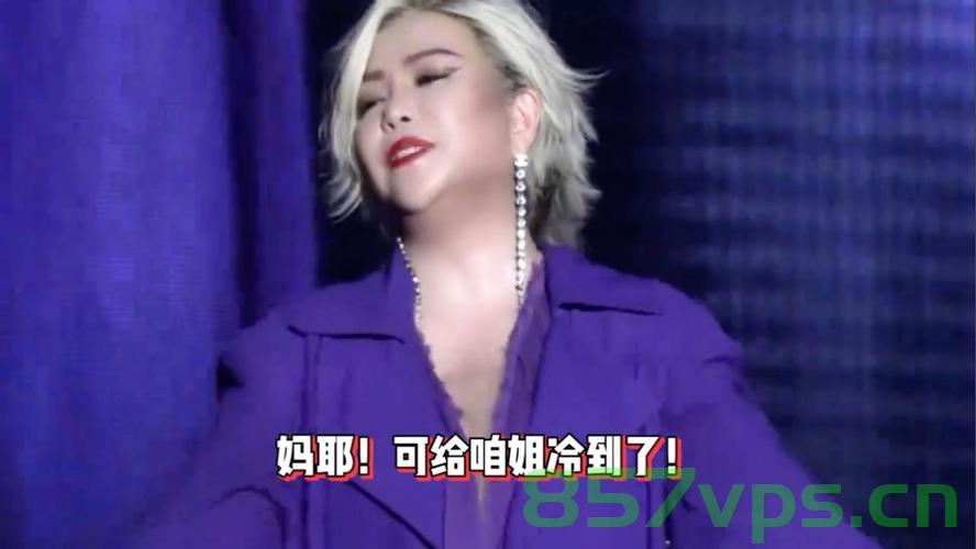 张惠妹演唱会现场，冻出鼻涕的寒夜，到底几度？智能免费问答EasyAI m.857vps.cn，张惠妹演唱会现场寒夜几度？智能问答解析现场体验，张惠妹演唱会寒夜现场揭秘，智能问答解析体验与温度揭秘 第2张