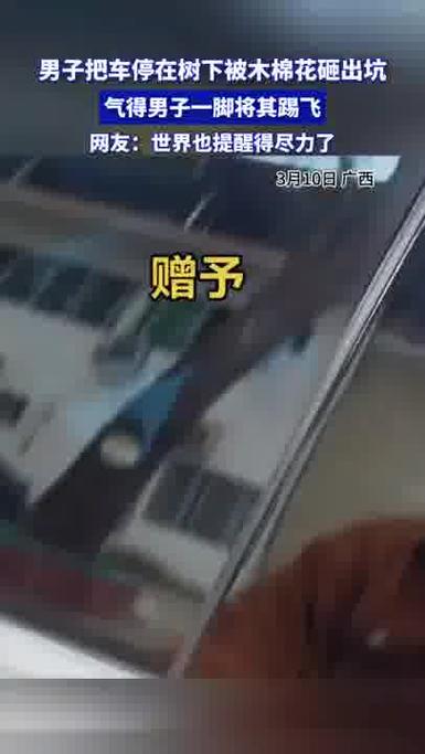 小伙停车木棉树下，悲剧上演智能免费问答EasyAI m.857vps.cn，小伙停车木棉树下遭遇悲剧，EasyAI智能问答系统解析悲剧原因 m.857vps.cn