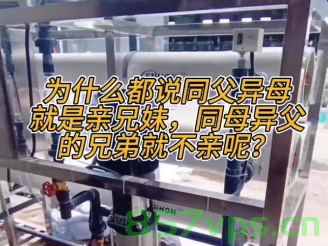 蒋敦豪，我有九个异父异母的兄弟智能免费问答EasyAI m.857vps.cn，蒋敦豪与九个异父异母兄弟的神秘故事，智能问答揭秘 m.857vps.cn 免费问答平台，蒋敦豪与九个异父异母兄弟的神秘故事，智能问答平台揭秘（免费），蒋敦豪与九个异父异母兄弟的神秘故事，智能问答平台免费揭秘