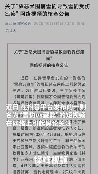 关于放恶犬围捕雪豹致其瘫痪的真相探究智能免费问答EasyAI m.857vps.cn，探究恶犬围捕雪豹事件真相，EasyAI智能问答揭秘m.857vps.cn，探究恶犬围捕雪豹事件真相，EasyAI智能问答揭秘m.857vps.cn下的真相探究，探究恶犬围捕雪豹事件真相，EasyAI智能问答揭秘背后的故事，探究恶犬围捕雪豹事件背后的真相，EasyAI智能问答揭秘雪豹瘫痪事件背后的故事 m.857vps.cn