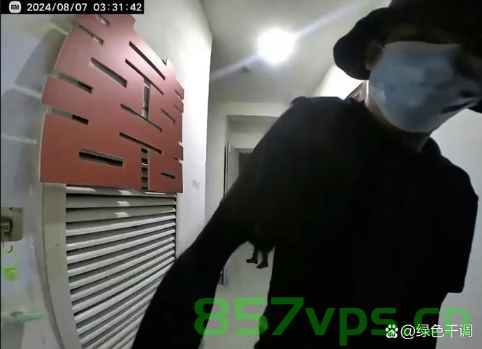 两男子戴人皮面具多次行窃终被抓获智能免费问答EasyAI m.857vps.cn，两男子戴人皮面具行窃终被抓获，智能问答揭示案件细节