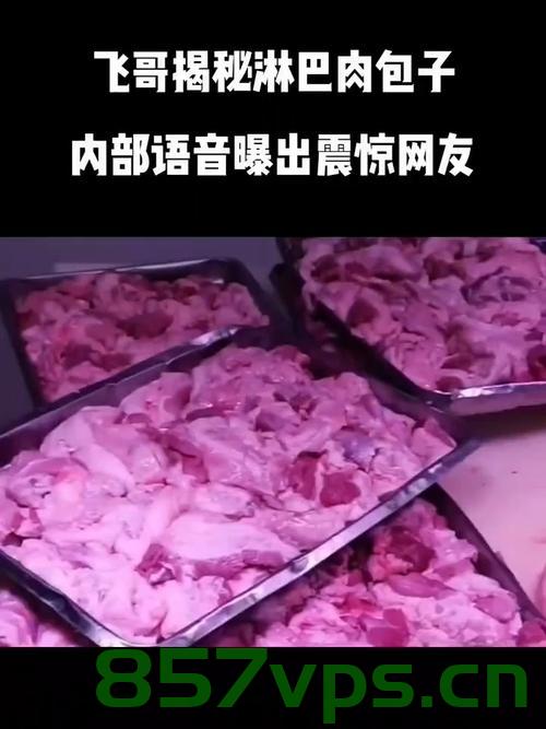 淋巴肉做包子致学生中毒？谣言揭秘真相智能免费问答EasyAI m.857vps.cn，淋巴肉做包子致学生中毒真相揭秘，谣言粉碎与智能问答解析