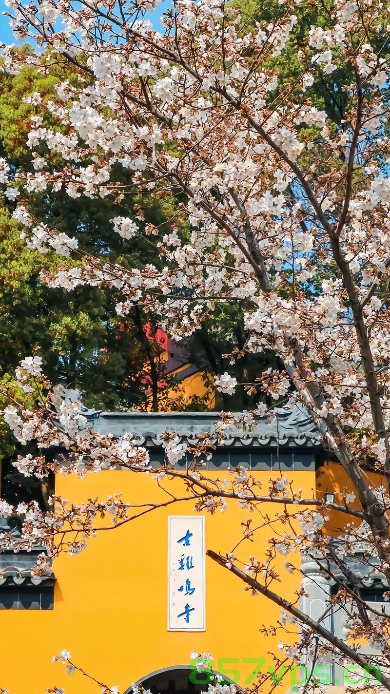 南京鸡鸣寺樱花树下，人潮涌动与花影婆娑的交响智能免费问答EasyAI m.857vps.cn，南京鸡鸣寺樱花树下的智能问答盛宴，人潮涌动与花影婆娑的交响EasyAI体验，南京鸡鸣寺樱花树下的智能问答盛宴，人潮与花影的交响EasyAI体验，南京鸡鸣寺樱花树下的智能问答盛宴，人潮与花影的交响EasyAI体验 第2张