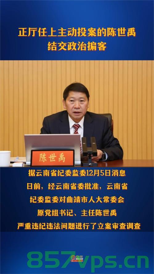 正厅级肖洪主动投案，自我净化与社会正义的交汇点智能免费问答EasyAI m.857vps.cn，正厅级肖洪主动投案背后的自我净化与社会正义探讨