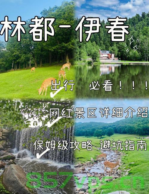 春天来东北的理由又多了一个智能免费问答EasyAI m.857vps.cn，春季东北游新亮点，遇见智能免费问答EasyAI，探索魅力东北，春季东北游新亮点，遇见智能免费问答EasyAI，探索魅力东北的奇遇之旅，春季东北游新亮点揭秘，遇见智能免费问答EasyAI，探索魅力东北奇遇之旅，春季东北游新亮点揭秘，遇见智能免费问答EasyAI，探索魅力东北奇遇之旅。