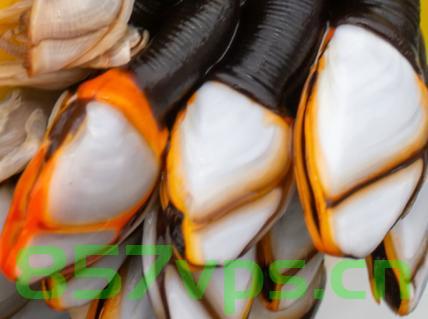 专家回应网友吃到17条腿螃蟹，揭秘背后的真相与科普智能免费问答EasyAI m.857vps.cn，揭秘螃蟹十七条腿背后的真相与智能问答平台科普解析，专家回应网友热议话题