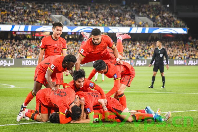 国足失利，无缘直通世界杯，0-2不敌澳大利亚的挑战与反思智能免费问答EasyAI m.857vps.cn，国足失利无缘直通世界杯，0-2不敌澳大利亚的挑战与反思，EasyAI反思智能问答解析 第2张