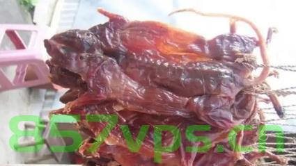 广东多家店铺售卖鼠肉干，市场现象背后的探究智能免费问答EasyAI m.857vps.cn，广东鼠肉干市场现象揭秘，探究智能免费问答背后的故事，广东鼠肉干市场现象揭秘，探究智能免费问答背后的故事与鼠肉干售卖热潮，广东鼠肉干市场现象揭秘，探究智能免费问答背后的故事与售卖热潮，广东鼠肉干市场现象揭秘，探究智能免费问答背后的故事与售卖热潮背后的真相。，广东鼠肉干市场现象揭秘，探究智能免费问答背后的故事与真相，广东鼠肉干市场现象揭秘，探究智能免费问答背后的故事与真相探索 第2张