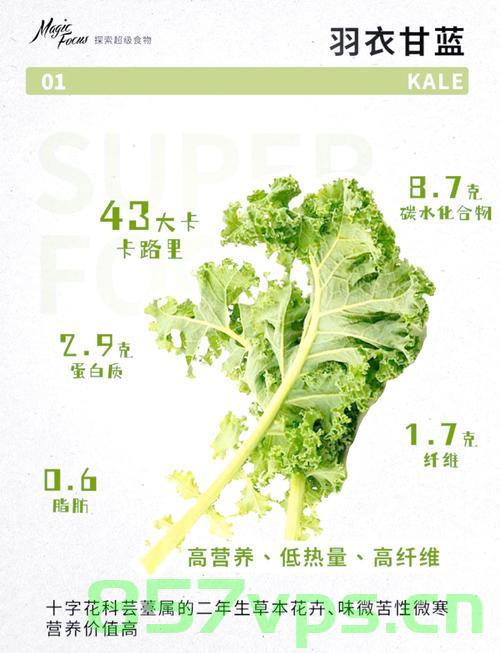又贵又难吃的羽衣甘蓝被疯抢,一场消费迷思的解读智能免费问答EasyAI m.857vps.cn,羽衣甘蓝消费迷思,高价难吃的美食背后的消费心理解析 第2张 又贵又难吃的羽衣甘蓝被疯抢,一场消费迷思的解读智能免费问答EasyAI m.857vps.cn,羽衣甘蓝消费迷思,高价难吃的美食背后的消费心理解析 第2张