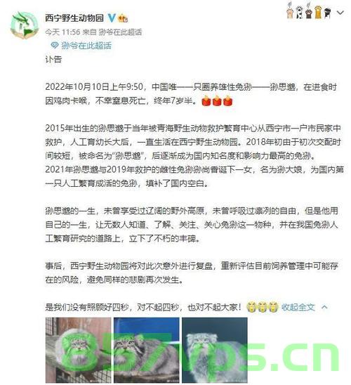 兔狲网红狲尚香的离世智能免费问答EasyAI m.857vps.cn，兔狲网红狲尚香离世，智能免费问答EasyAI哀悼缅怀，兔狲网红狲尚香离世，智能免费问答EasyAI哀悼缅怀，怀念狲尚香，怀念那份温暖与陪伴，兔狲网红狲尚香离世，智能问答EasyAI哀悼缅怀，怀念那份温暖与陪伴
