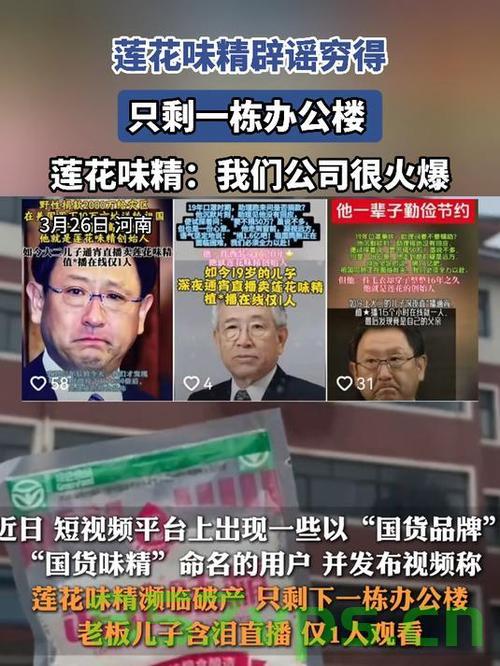 莲花味精回应穷得只剩一栋办公楼，真相与误解的解读智能免费问答EasyAI m.857vps.cn，莲花味精回应穷得只剩一栋办公楼，真相揭秘与误解解读，智能问答平台EasyAI解析