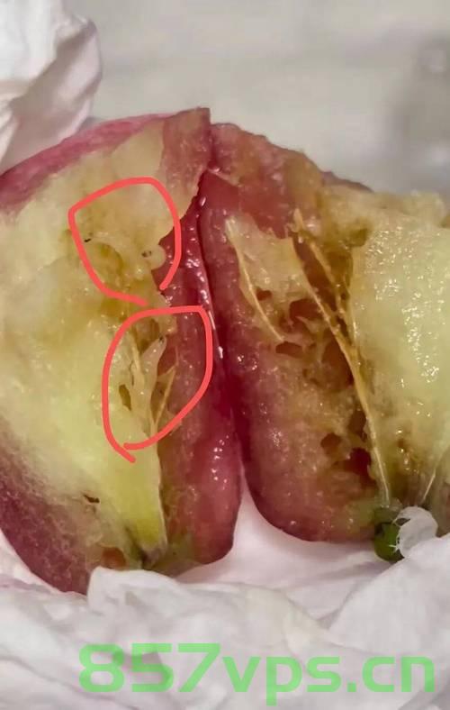 山姆客服回应水果吃出虫，正常情况？引发争议与反思智能免费问答EasyAI m.857vps.cn，山姆客服回应水果吃出虫引发争议，是正常现象还是管理漏洞？反思智能免费问答系统。，山姆客服回应水果吃出虫事件，是常态还是管理漏洞？引发广泛争议与反思