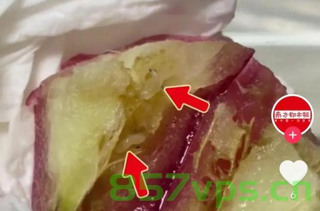 山姆客服回应水果吃出虫，正常情况？引发争议与反思智能免费问答EasyAI m.857vps.cn，山姆客服回应水果吃出虫引发争议，是正常现象还是管理漏洞？反思智能免费问答系统。，山姆客服回应水果吃出虫事件，是常态还是管理漏洞？引发广泛争议与反思 第2张