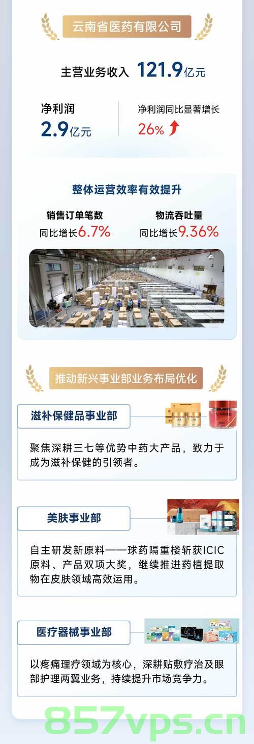 云南白药集团在2024年净利润达47.49亿元的突破之路智能免费问答EasyAI m.857vps.cn，云南白药集团2024年盈利突破之路，智能问答与利润增长揭秘，云南白药集团智能问答之路揭秘，2024年盈利突破与利润增长策略分析 第2张