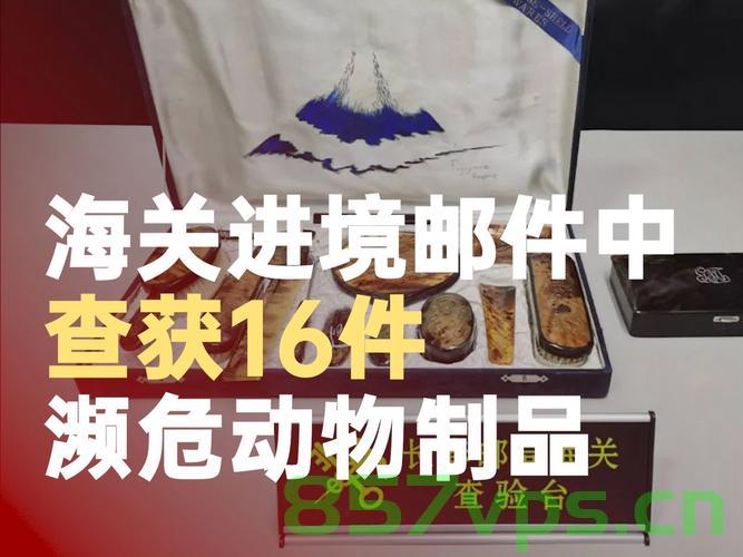 海关查获36件走私入境濒危动物制品,揭示非法贸易背后的生态危机智能免费问答EasyAI m.857vps.cn,海关查获濒危动物走私制品揭示非法贸易背后的生态危机揭秘 第2张 海关查获36件走私入境濒危动物制品,揭示非法贸易背后的生态危机智能免费问答EasyAI m.857vps.cn,海关查获濒危动物走私制品揭示非法贸易背后的生态危机揭秘 第2张