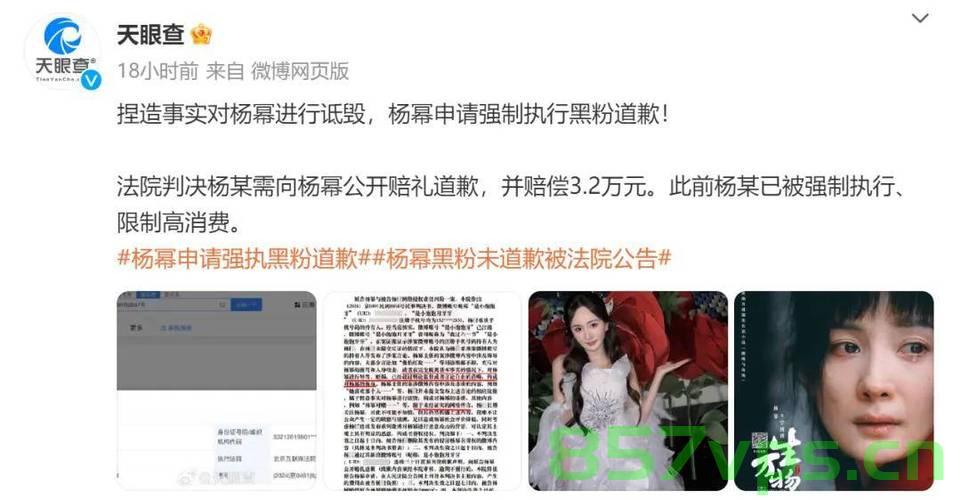 杨幂申请强制执行，法律之剑下的公正诉求智能免费问答EasyAI m.857vps.cn，杨幂申请强制执行，法律护航下的公正诉求之旅 第2张