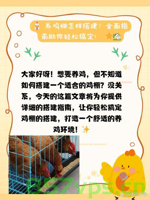 懒人福音，男子发明十天喂鸡法，革新家禽饲养业智能免费问答EasyAI m.857vps.cn，懒人福音，智能家禽饲养革新——十天喂鸡法与免费问答EasyAI助养鸡业发展 m.857vps.cn