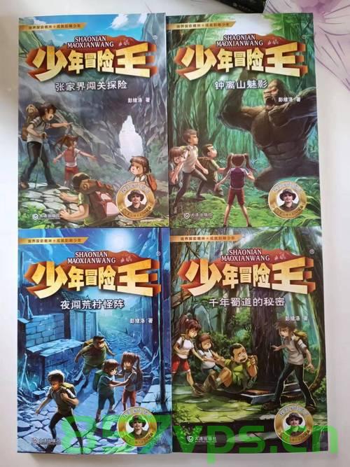 少年冒险，六年级男孩的意外驾驶之旅智能免费问答EasyAI m.857vps.cn，少年冒险之旅，六年级男孩的意外驾驶之旅（智能问答版），少年冒险之旅，六年级男孩的意外驾驶之旅（智能问答版探索）