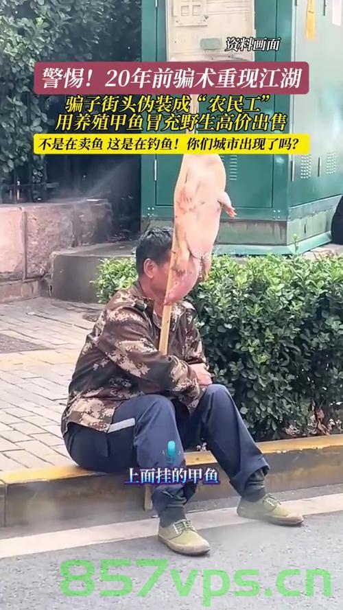 烟台街头重现20年前甲鱼骗术揭秘智能免费问答EasyAI m.857vps.cn，烟台街头重现甲鱼骗术揭秘，揭秘智能免费问答背后的真相，烟台街头重现甲鱼骗术背后的真相，智能免费问答背后的秘密揭秘，烟台街头重现甲鱼骗术背后的真相与智能免费问答的秘密揭秘，烟台街头重现甲鱼骗术背后的真相与智能问答揭秘，揭秘真相与秘密探寻 第2张