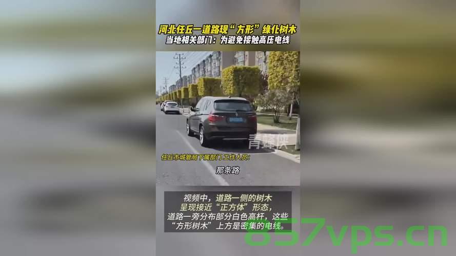 河北一道路现方形绿化树，当地回应智能免费问答EasyAI m.857vps.cn，河北方形绿化树引关注，当地回应智能问答系统上线，河北方形绿化树引关注，当地回应智能问答系统上线，解析独特绿化现象，河北方形绿化树引关注，当地回应智能问答系统上线与独特绿化现象解析 第2张