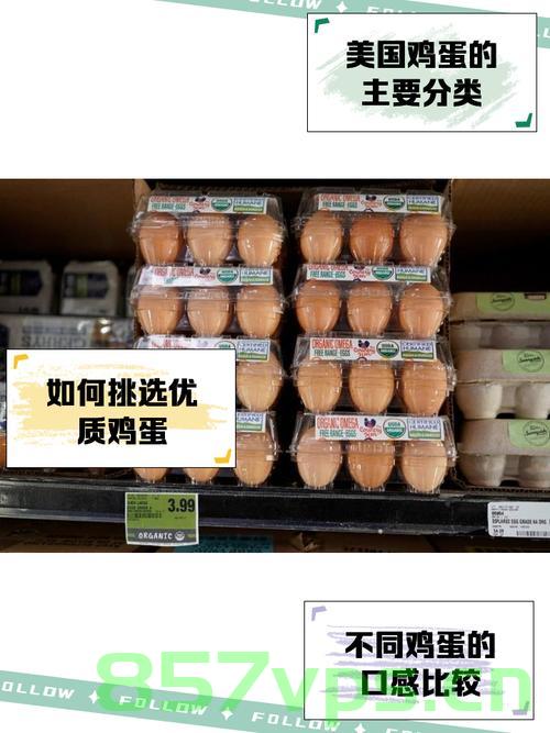 鸡蛋太贵！美国人为复活节祭想出假蛋妙招智能免费问答EasyAI m.857vps.cn，美国人为应对鸡蛋价格上涨想出假蛋妙招，智能问答系统助力节日庆祝 第2张