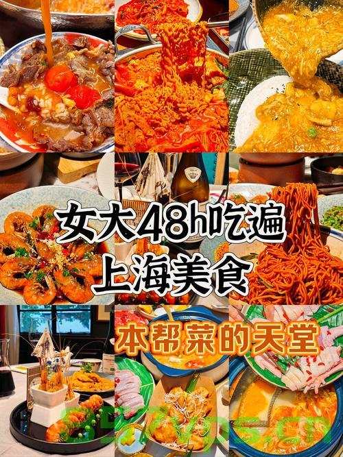 孤独的美食家，上海美食三日游智能免费问答EasyAI m.857vps.cn，孤独的美食家，上海三日游美食攻略智能问答指南，上海孤独美食家三日游智能问答指南，美食攻略与免费问答EasyAI体验之旅，上海孤独美食家三日游智能问答指南与免费问答EasyAI体验之旅，上海孤独美食家三日游，智能问答指南与EasyAI体验之旅，上海孤独美食家三日游，智能问答指南与EasyAI体验之旅，上海孤独美食家三日游，智能问答指南与EasyAI体验之旅，上海孤独美食家三日游智能问答指南与EasyAI体验之旅独家攻略 第2张