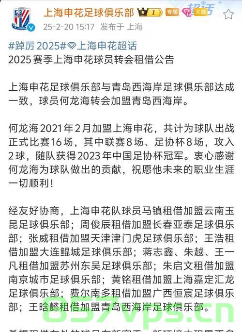上海申花被禁止转会注册背后的故事与启示智能免费问答EasyAI m.857vps.cn，上海申花转会禁令背后的故事与启示，智能问答揭示真相 第2张