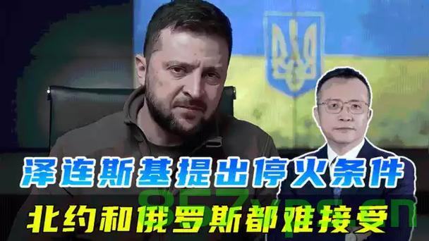 泽连斯基，不排除任何实现停火方式——寻求和平之路的无畏探索智能免费问答EasyAI m.857vps.cn，泽连斯基，无畏探索和平之路，智能问答助力停火谈判
