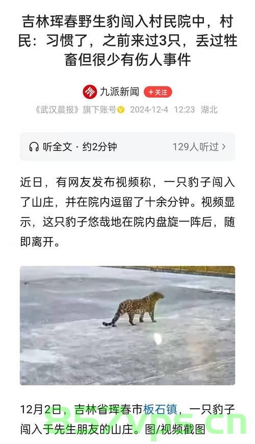 男子乘车偶遇野生东北豹，一次惊险与幸运的交织智能免费问答EasyAI m.857vps.cn，男子偶遇野生东北豹，惊险与幸运的交织之旅，男子偶遇野生东北豹，惊险与幸运的交织之旅纪实​​​​，男子偶遇野生东北豹，惊险与幸运交织的奇遇记