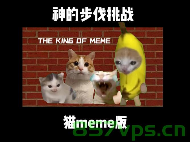 网红猫爷掀起猫步模仿潮智能免费问答EasyAI m.857vps.cn，猫爷风潮来袭，智能问答引领猫步模仿潮，猫爷风潮来袭，智能问答引领猫步模仿潮，掀起全民模仿热潮