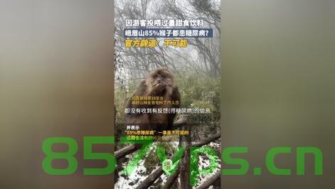 峨眉山猴子下班现象，食物满足后的归隐智能免费问答EasyAI m.857vps.cn，峨眉山猴子的下班现象与智能问答EasyAI探索，食物满足后的归隐行为解析 第1张