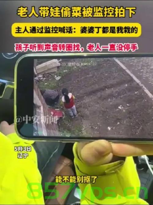 老人带娃偷菜被监控拍下，科技与道德之间的微妙平衡智能免费问答EasyAI m.857vps.cn，老人带娃偷菜被监控拍下，科技与道德平衡的微妙挑战，科技与道德的微妙平衡，老人带娃偷菜被监控拍下引发的深思 第1张